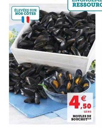 Hyper U Moules De Bouchot offre
