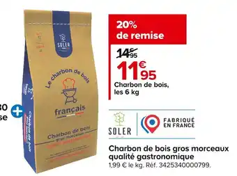 Castorama Soler charbon de bois gros morceaux qualité gastronomique offre