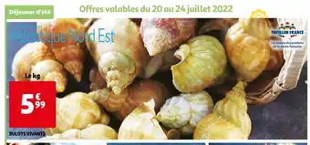 Auchan Bulots Vivants offre