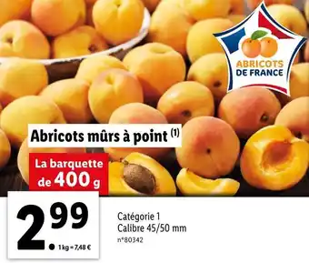 Abricots mûrs à point
