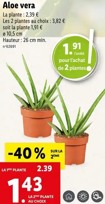 Lidl Aloe vera offre