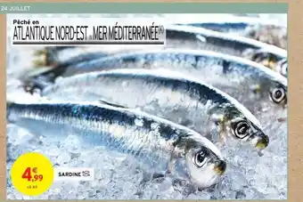 Intermarché Sardine offre