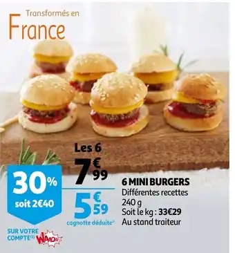 6 Mini Burgers