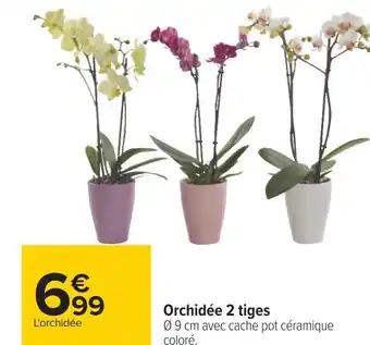 Carrefour Orchidée 2 tiges offre