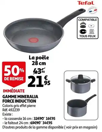 Auchan Gamme Mineralia Force Induction offre