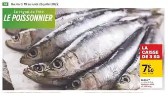 Sardine