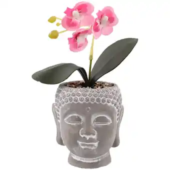 Action Pot Bouddha avec orchidée offre