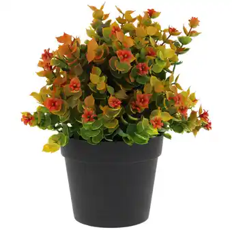 Action Eucalyptus artificiel en pot offre