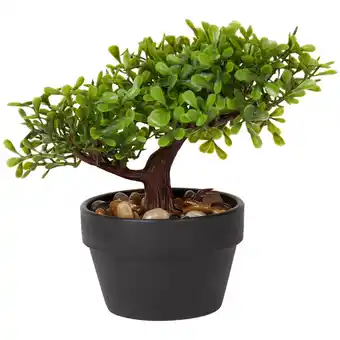 Bonsaï artificiel
