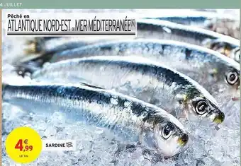 Intermarché Sardine offre