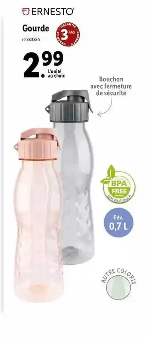 Lidl Gourde Ernesto offre