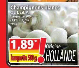 Norma Champignons Blancs offre
