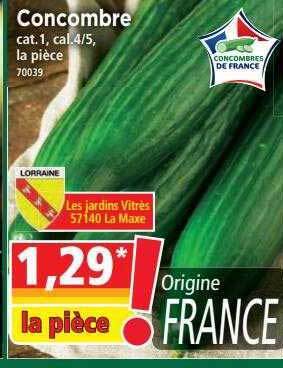 Norma Concombre offre