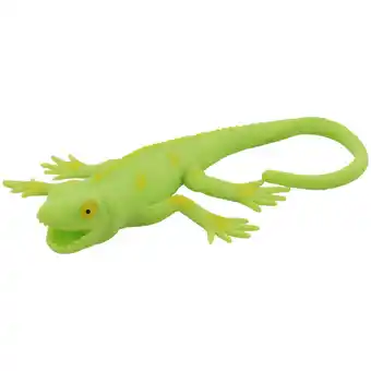 Lézard élastique div.variantes