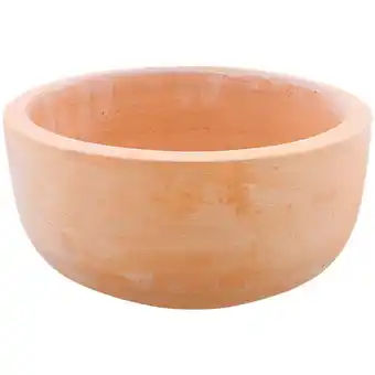 Action Pot de fleurs offre