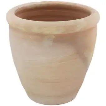 Action Pot en terre cuite offre