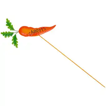 Action Piquet de jardin avec légume offre