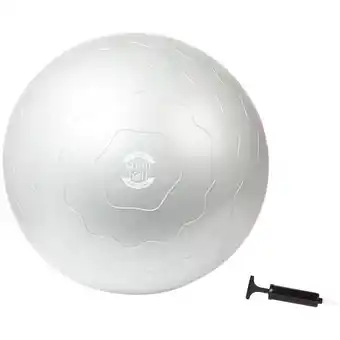 Action ballon de gymnastique Q4Life offre