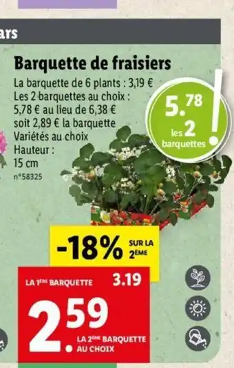 Lidl Barquette de fraisiers offre