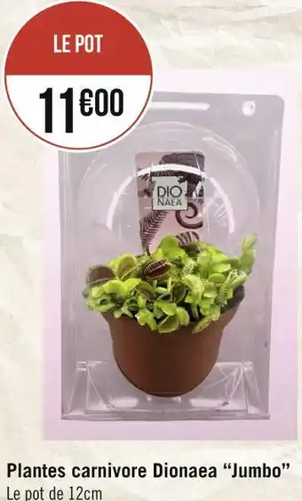Géant Casino Plantes carnivore dionaea “jumbo” offre