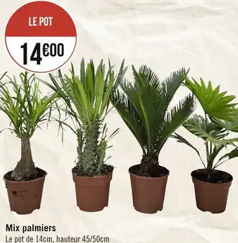 Mix palmiers