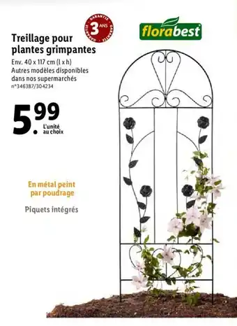 Lidl Treillage pour plantes grimpantes offre