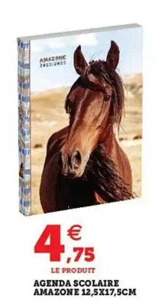 Agenda Scolaire Amazone 12.5x17.5cm
