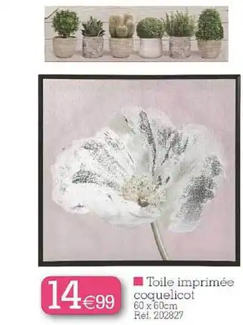 Toile Imprimée Coquelicot