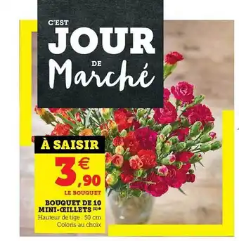 Bouquet De 10 Mini-Ćillets