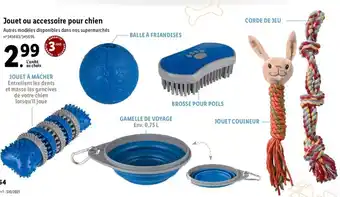 Lidl Jouet ou accessoire pour chien offre