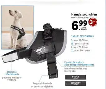 Lidl Harnais pour chien offre