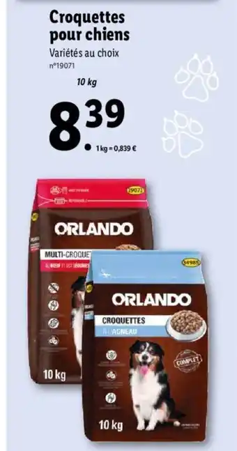 Lidl Croquettes poir chiens offre