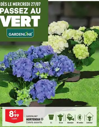 ALDI Hortensia offre