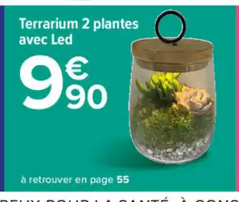 Carrefour Terrarium 2 plantes avec Led offre