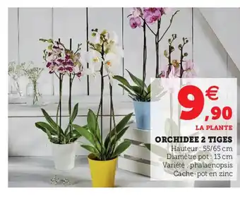 Super U Orchidee 2 Tiges offre