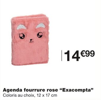 Monoprix "EXACOMPTA" agenda fourrure rose offre