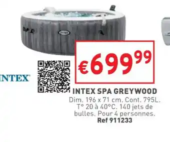 Trafic INTEX intex spa gretwood offre