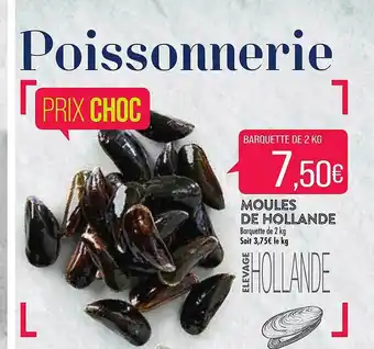 Match Moules De Hollande offre