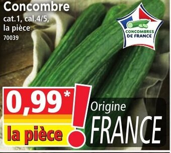 Norma Concombre offre