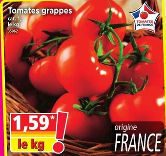 Norma Tomates grappes offre