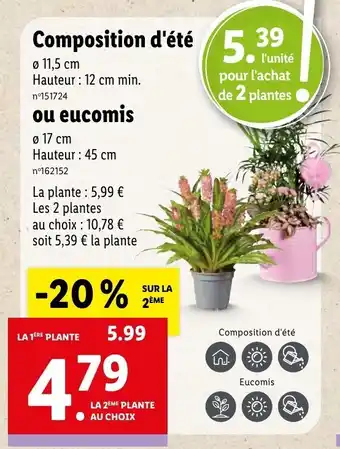 Lidl Composition d'été offre