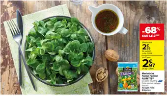 MAxi mache Format Familial Florette