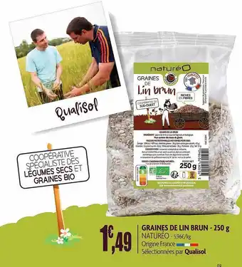 Graines De Lin Brun Naturéo - 250 G