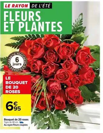 Carrefour Bouquet de 20 Roses offre