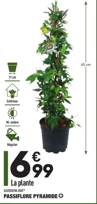 ALDI Passiflore pyramide offre