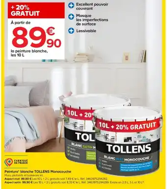 Castorama Peinture Blanche Tollens Monocouche offre