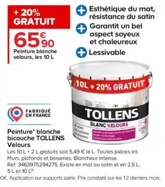 Castorama Peinture Blanche Bicouche Tollens Velours offre
