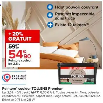 Castorama Peinture Couleur Tollens Premium offre