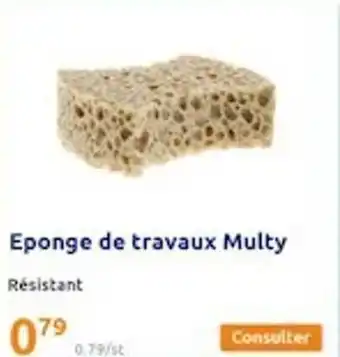 Action Éponge de travaux multy offre