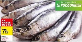 Carrefour Sardine offre